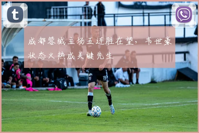 成都蓉城主场五连胜在望，韦世豪状态火热成关键先生
